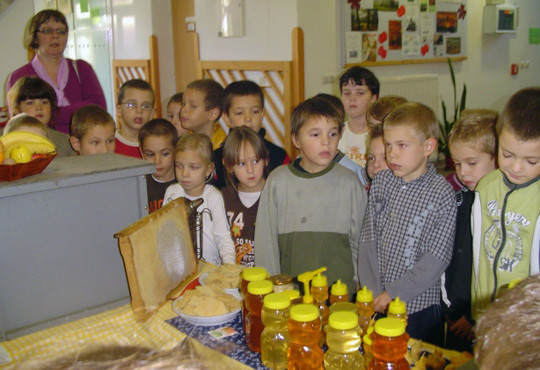 Gyerekek a méhészeti bemutatón (Fotó: Czina iskola)