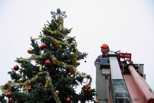 Felkerültek a díszek, karácsonyfa lett a fenyőből (klikk a képre) Fotók: Melega Krisztián