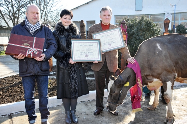 Bobo tehén mellett dr. Muntyán János, dr. Rozsnyai Krisztina és Rozsnyai Sándor vette át az arany törzskönyveket (Fotó: Rajki Judit)