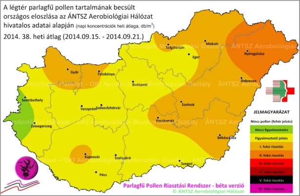 Országszerte csökkent a parlagfű pollenkoncentrációja, lassan fellélegezhetnek az allergiások (fotó: ÁNTSZ)