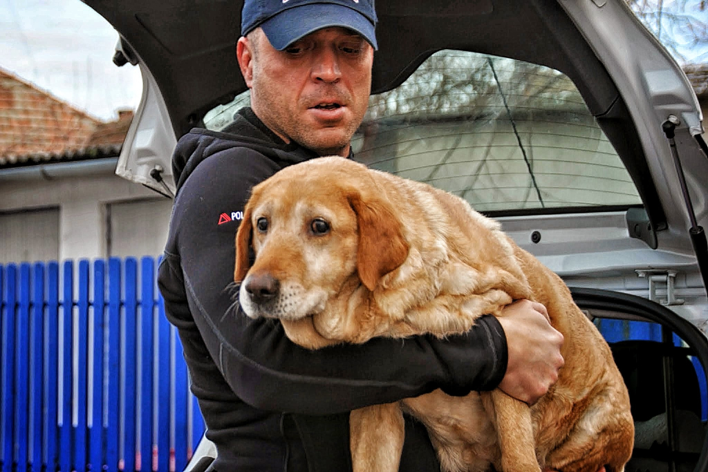 Busa Róbert mindennapjait a kutyák megmentése tölti ki (Fotó: Orosházi Állatmentő Alapítvány)