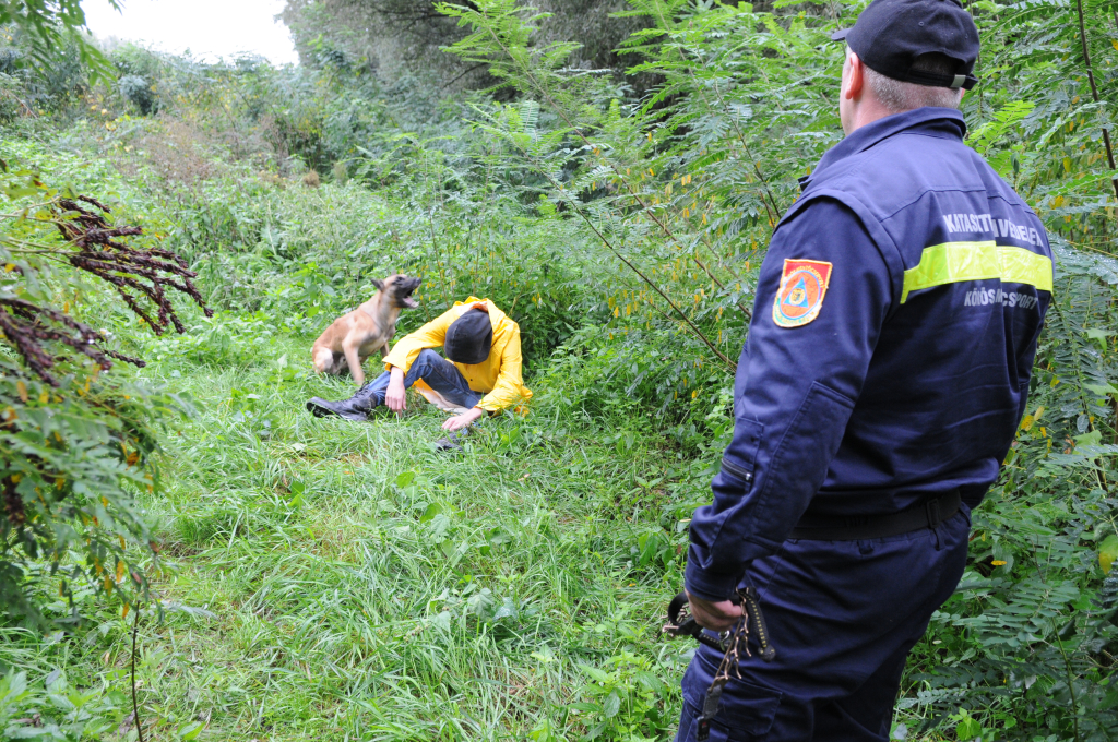 dr. Sin Zoltán Sirály nevű kutyájával talált sérültet az ártéri erdőben (klikk a képre) Fotó: Melega Krisztián/Körös Mentőcsoport